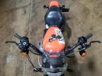 2008 HARLEY-DAVIDSON XL1200 N   for sale at Copart OH - CLEVELAND WEST