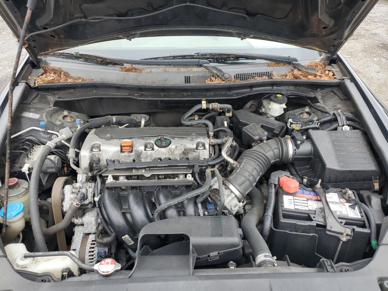 2009 Honda Accord Lxp VIN: 1HGCP26469A183217 Lot: 64603275