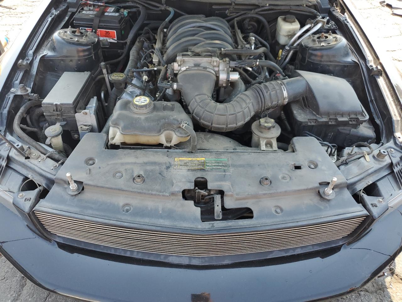 2007 Ford Mustang Gt VIN: 1ZVHT82H875249880 Lot: 64664475
