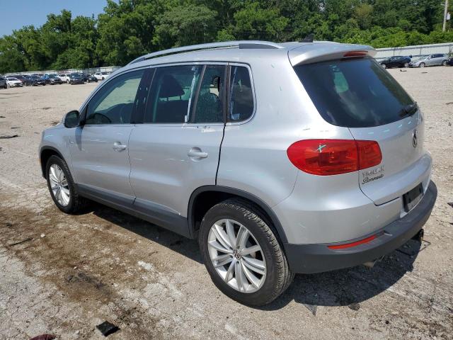  VOLKSWAGEN TIGUAN 2014 Silver