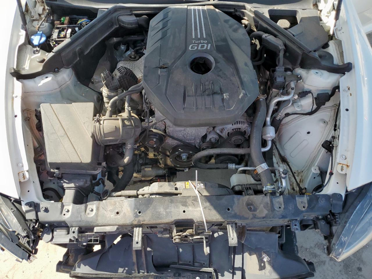 2020 Kia Stinger VIN: KNAE15LAXL6083259 Lot: 65599195