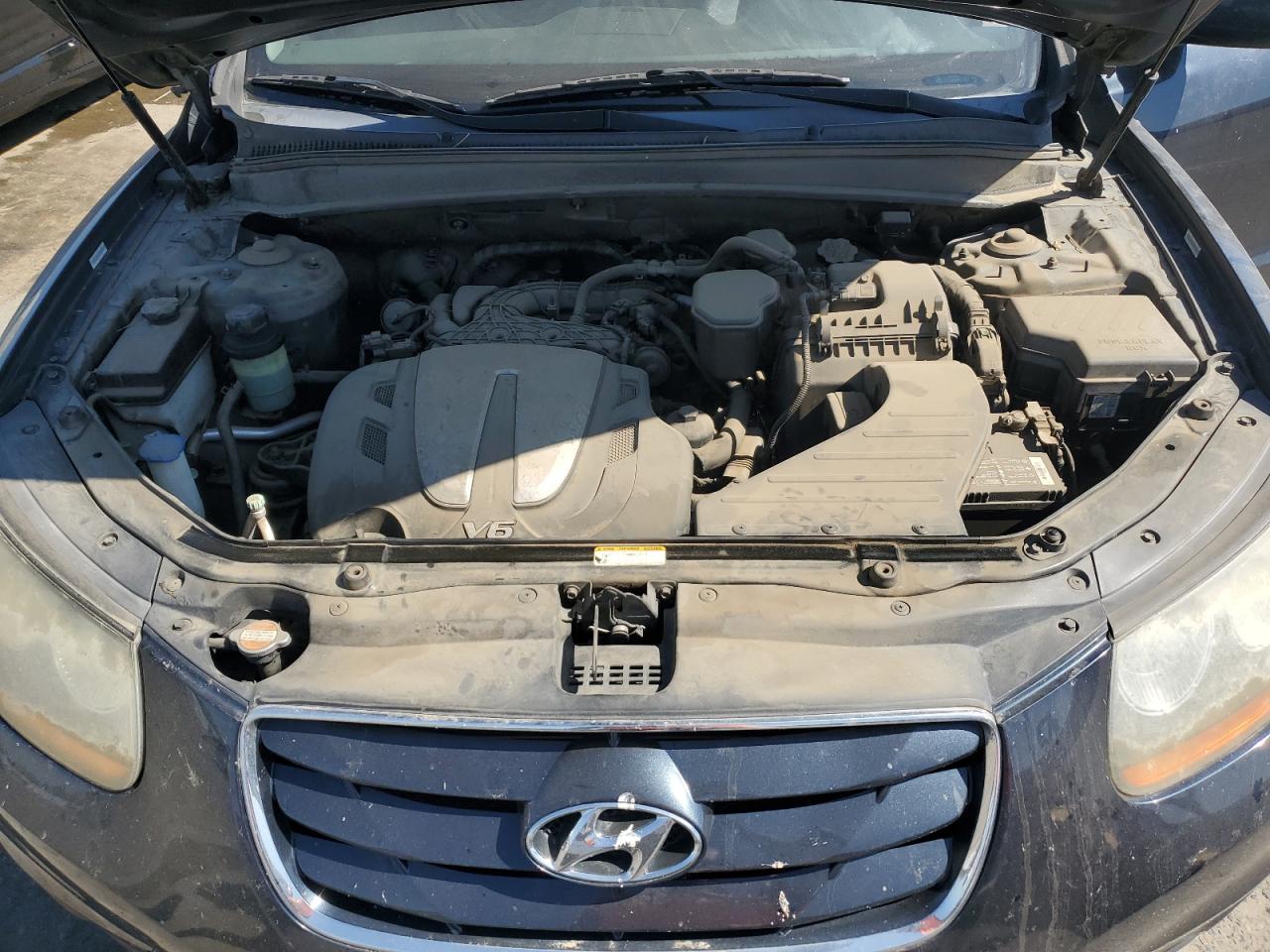 2010 Hyundai Santa Fe Se VIN: 5NMSHDAG2AH387799 Lot: 65084445