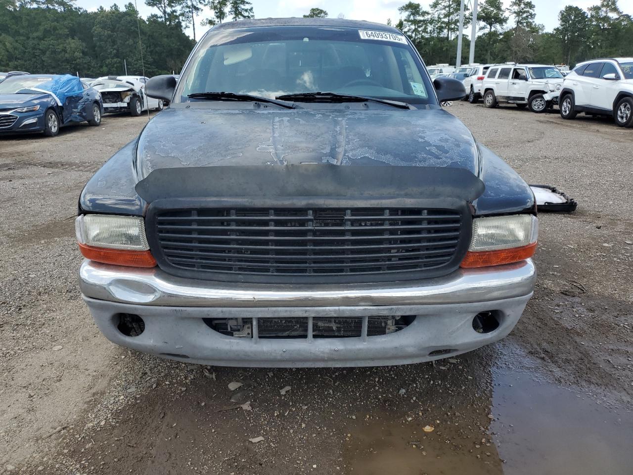 2003 Dodge Dakota Quad Slt VIN: 1D7HL48N43S195116 Lot: 64093705