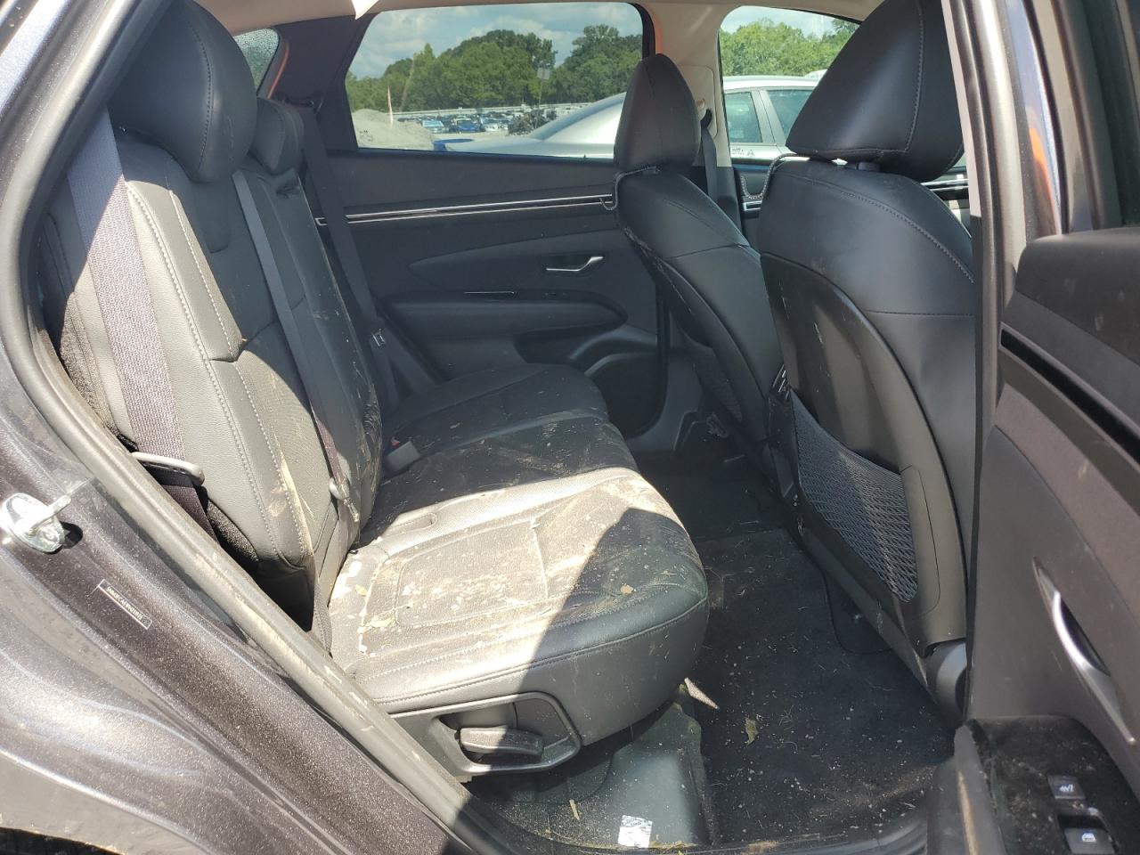 2023 Hyundai Tucson Limited VIN: 5NMJECAE1PH231923 Lot: 64688795