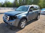 2011 FORD ESCAPE XLT   à vendre chez Copart ON - COOKSTOWN