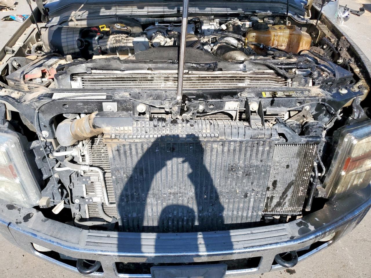 2010 Ford F250 Super Duty VIN: 1FTSW2BR3AEA97083 Lot: 67093905