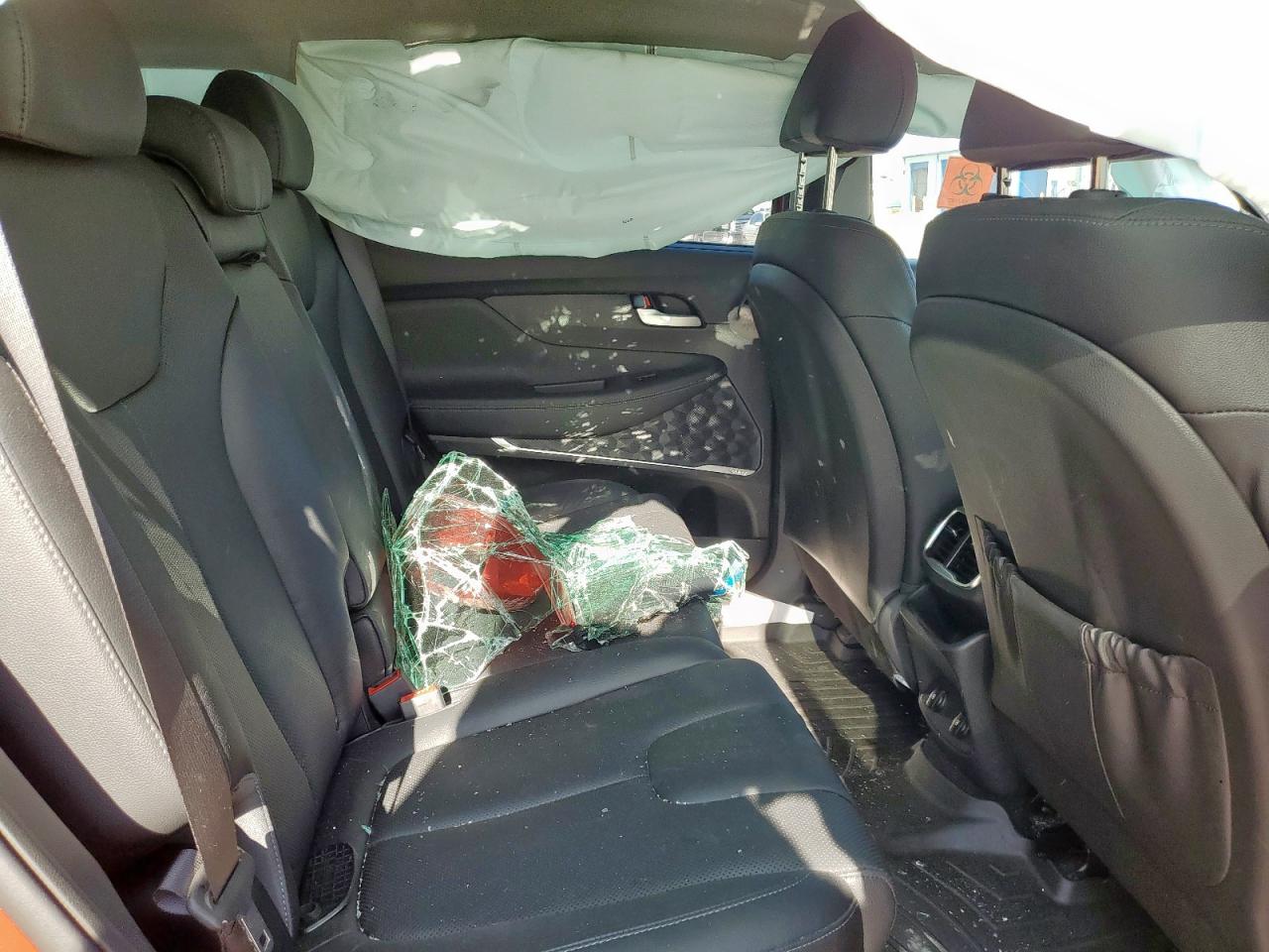 2020 Hyundai Santa Fe Sel VIN: 5NMS33AAXLH264498 Lot: 63518305