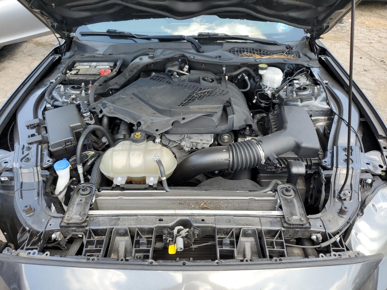 2020 Ford Mustang VIN: 1FA6P8TH0L5172421 Lot: 64550055