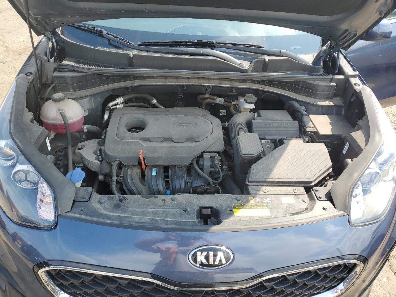 2022 Kia Sportage Lx VIN: KNDPM3AC5N7995838 Lot: 65437945