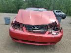 2002 FORD MUSTANG    for sale at Copart ON - COOKSTOWN
