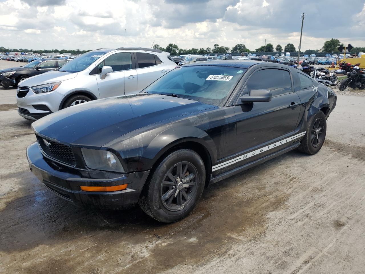 2005 Ford Mustang black coupe gas 1ZVFT80N855107171 photo #1