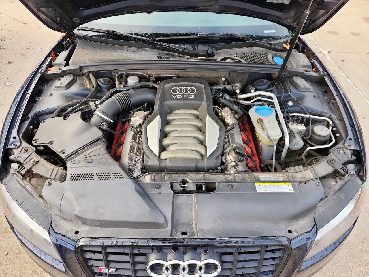 2011 Audi S5 Premium Plus VIN: WAUCVAFR7BA036188 Lot: 62870425