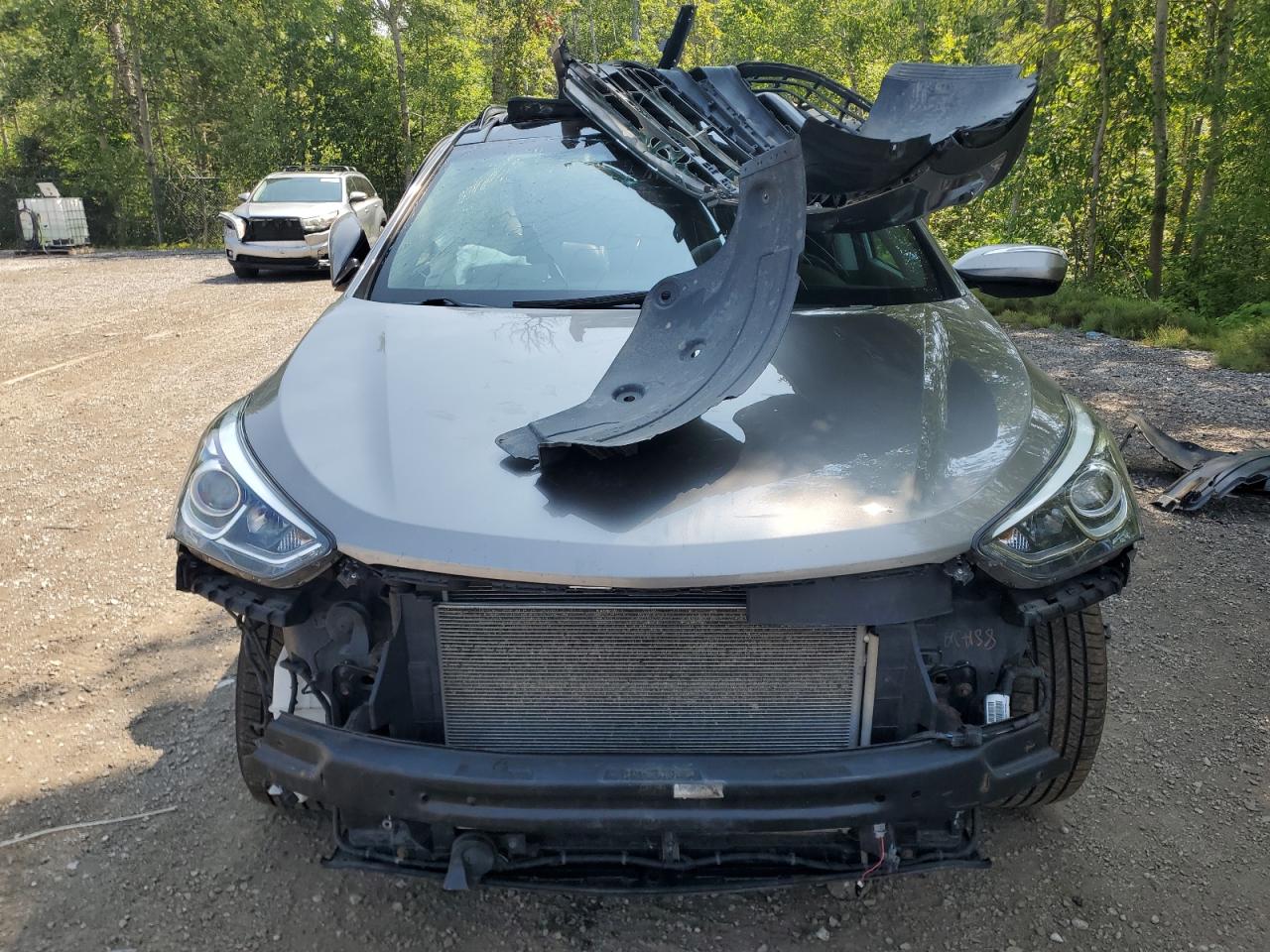 2017 Hyundai Santa Fe Sport VIN: 5XYZUDLBXHG450843 Lot: 63901825