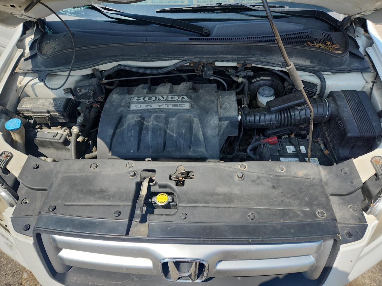 2007 Honda Pilot Exl VIN: 5FNYF18797B014516 Lot: 63663245