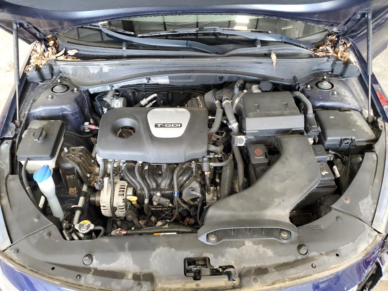 5xxgu4l1xkg306364 5XXGU4L1XKG306364 2019 Kia Optima Ex