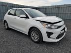 2023 KIA RIO S   à vendre chez Copart ON - OTTAWA