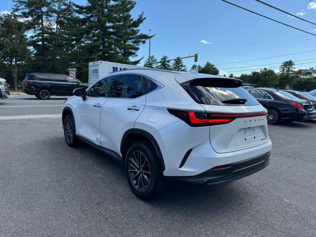  LEXUS NX 250 2022 Biały