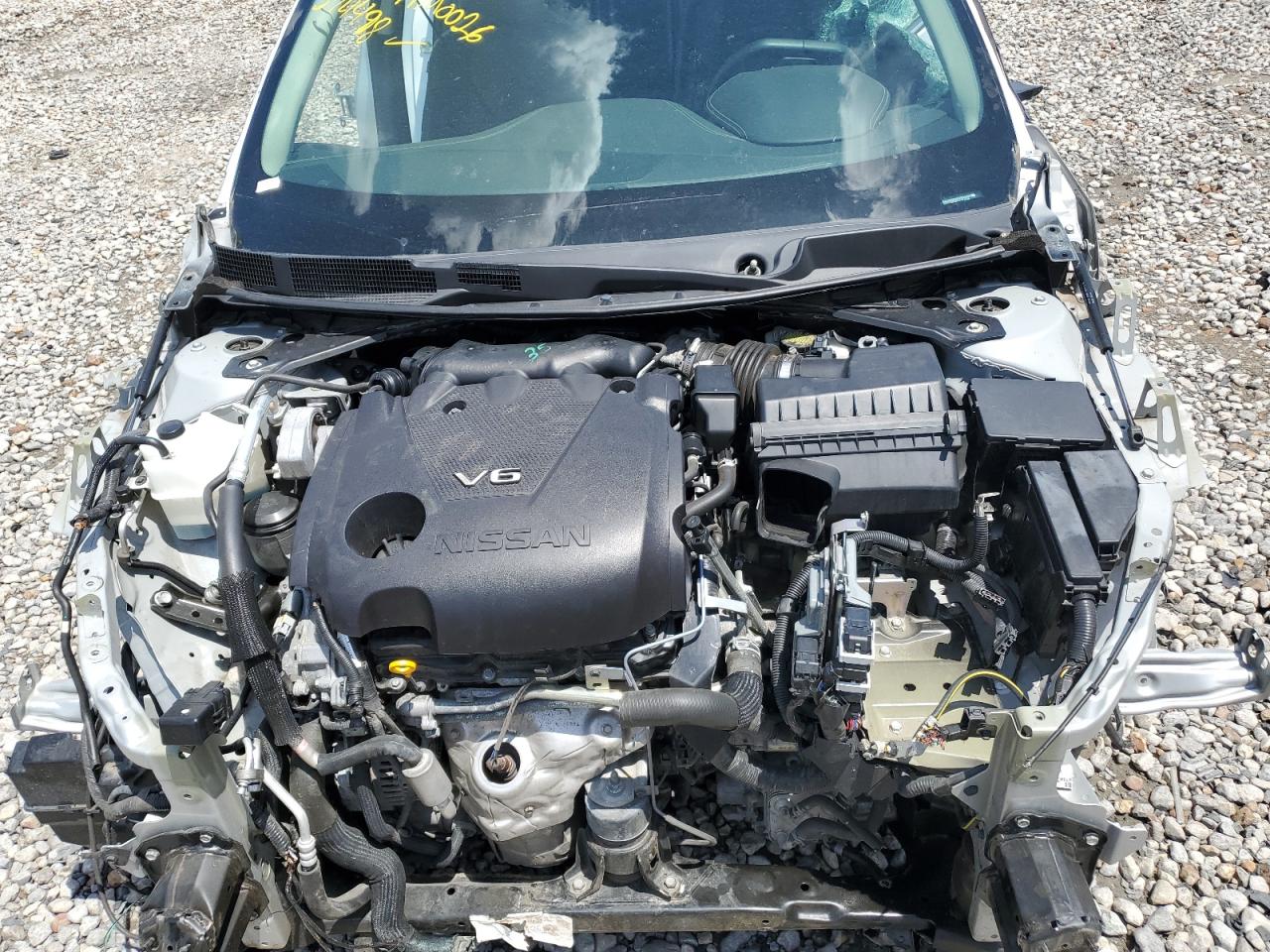 2020 Nissan Maxima Sl VIN: 1N4AA6DV4LC374498 Lot: 65582745