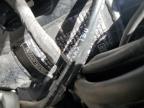 2022 TRIUMPH MOTORCYCLE TIGER 900 GT PRO   a la Venta en Copart CA - SUN VALLEY