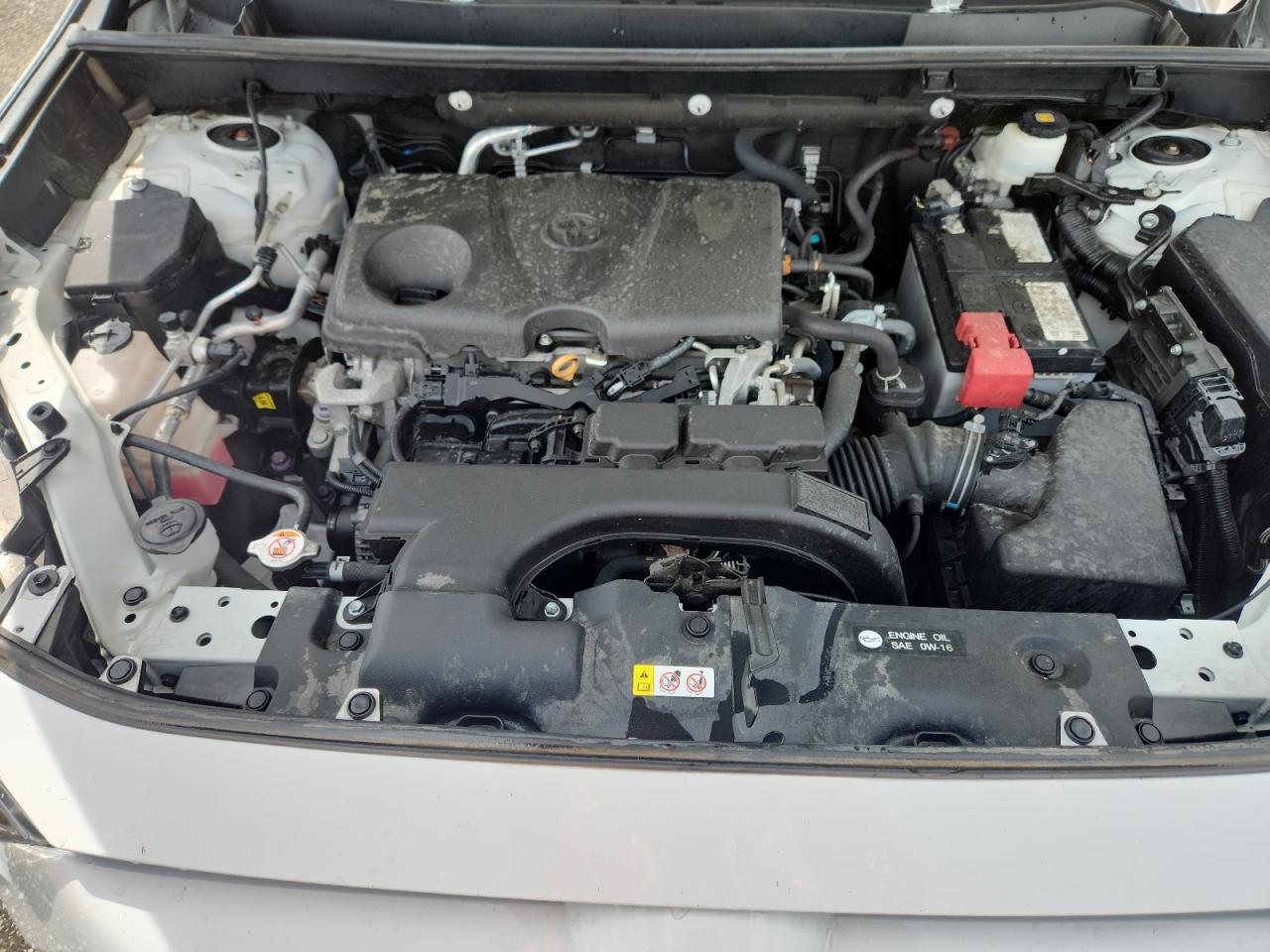 2020 Toyota Rav4 Xle VIN: 2T3P1RFV7LC126375 Lot: 65236515