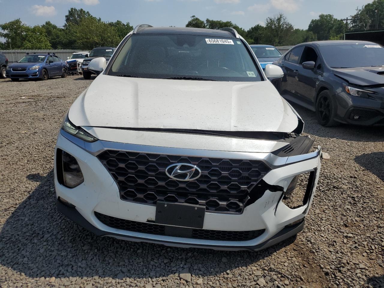 2019 Hyundai Santa Fe Limited VIN: 5NMS53AA6KH064890 Lot: 65681045