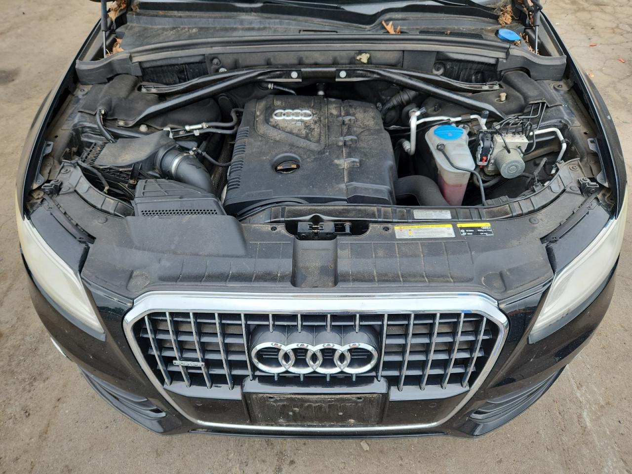2013 Audi Q5 Premium Plus VIN: WA1LFAFP0DA088547 Lot: 64335275