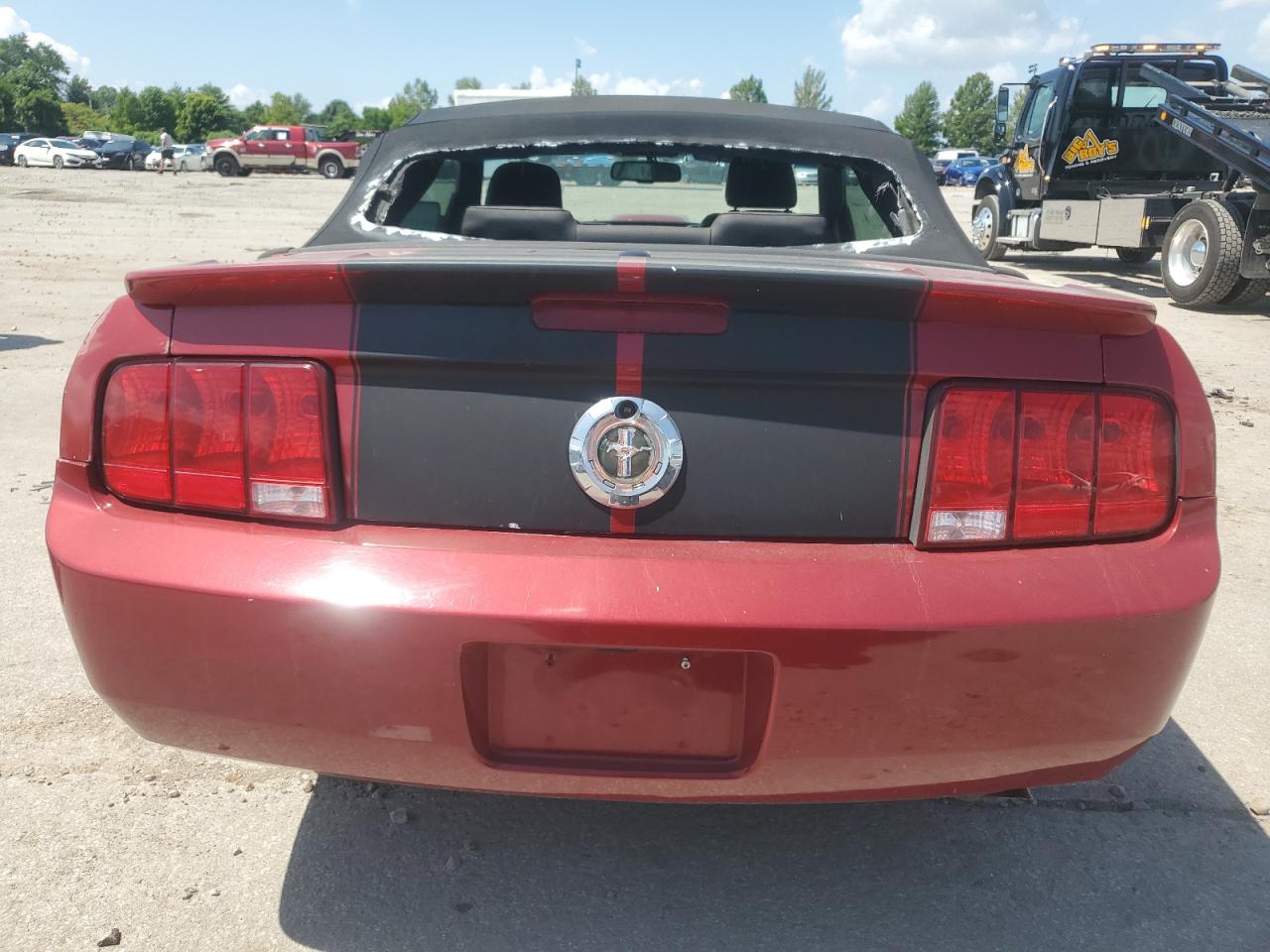 2009 Ford Mustang VIN: 1ZVHT84N895145833 Lot: 65027705