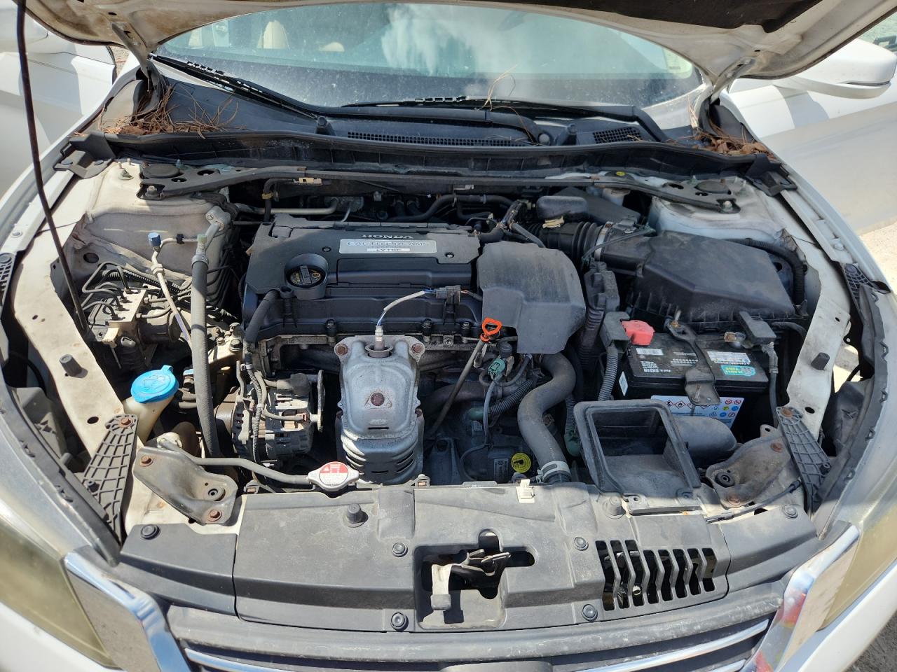 2013 Honda Accord Exl VIN: 1HGCR2F86DA257662 Lot: 65130875