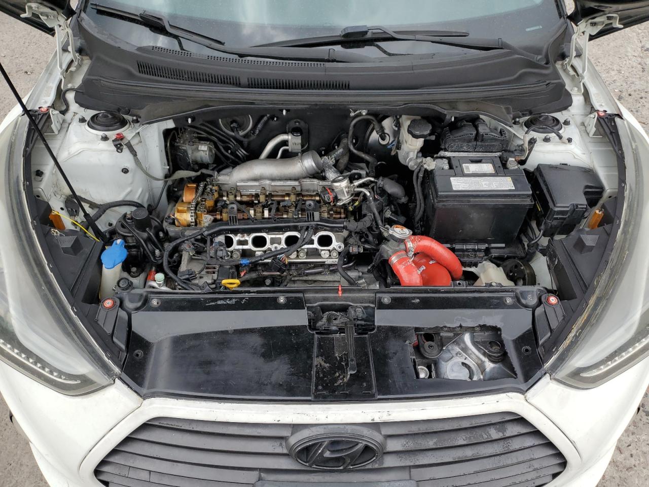 2013 Hyundai Veloster Turbo VIN: KMHTC6AE1DU171481 Lot: 64901155