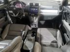 2010 HONDA CR-V EXL   à vendre chez Copart MA - NORTH BOSTON