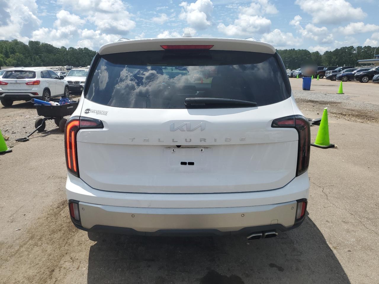 2024 Kia Telluride Sx VIN: 5XYP54GC4RG474306 Lot: 62872305