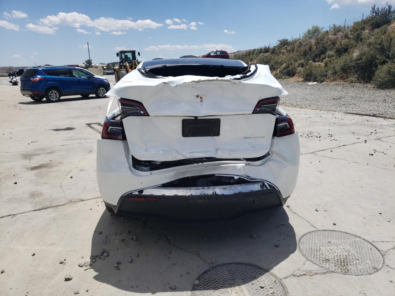 2023 Tesla Model Y VIN: 7SAYGDEE6PA117443 Lot: 62887265