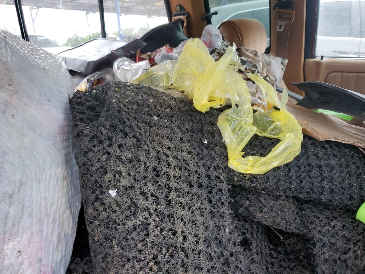 1992 Dodge Dakota VIN: 1B7GL23YXNS650081 Lot: 90571095