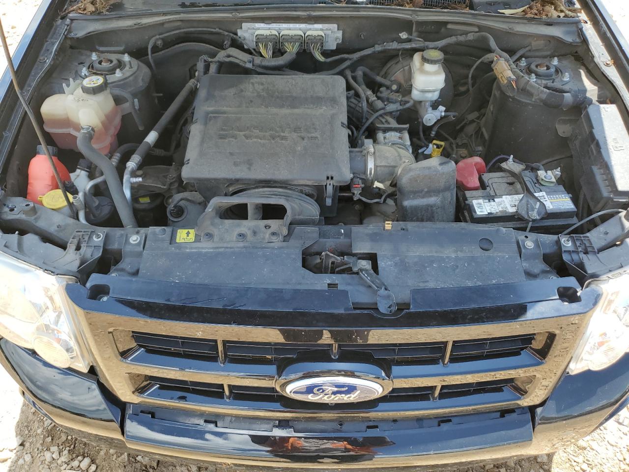 2012 Ford Escape Xlt VIN: 1FMCU0DG0CKA56632 Lot: 65261735