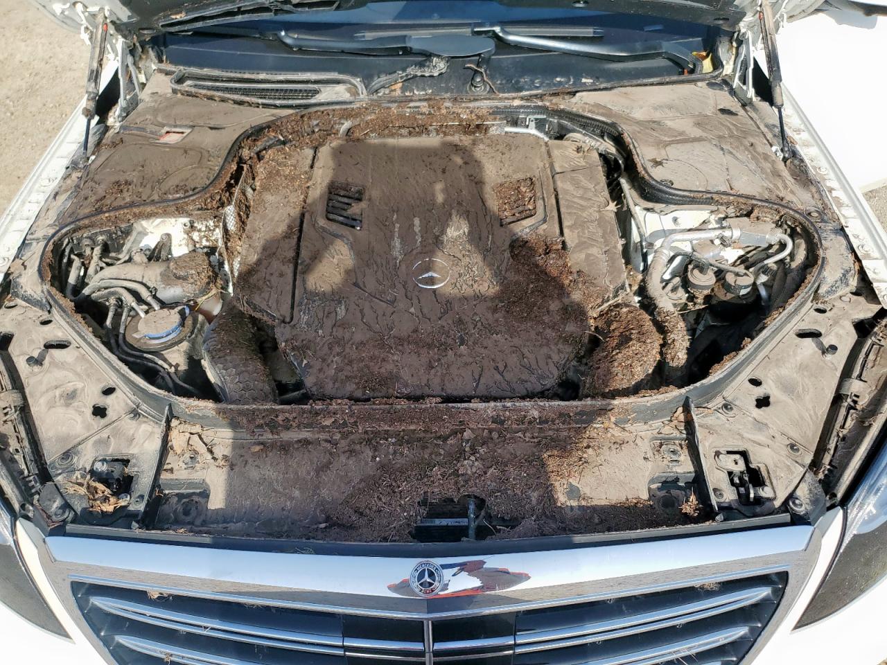 2020 Mercedes-Benz S 560 VIN: W1KUG8DB0LA528312 Lot: 63928485