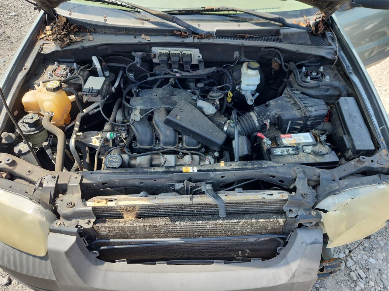 2006 Ford Escape Xlt VIN: 1FMCU03166KA83738 Lot: 63363675