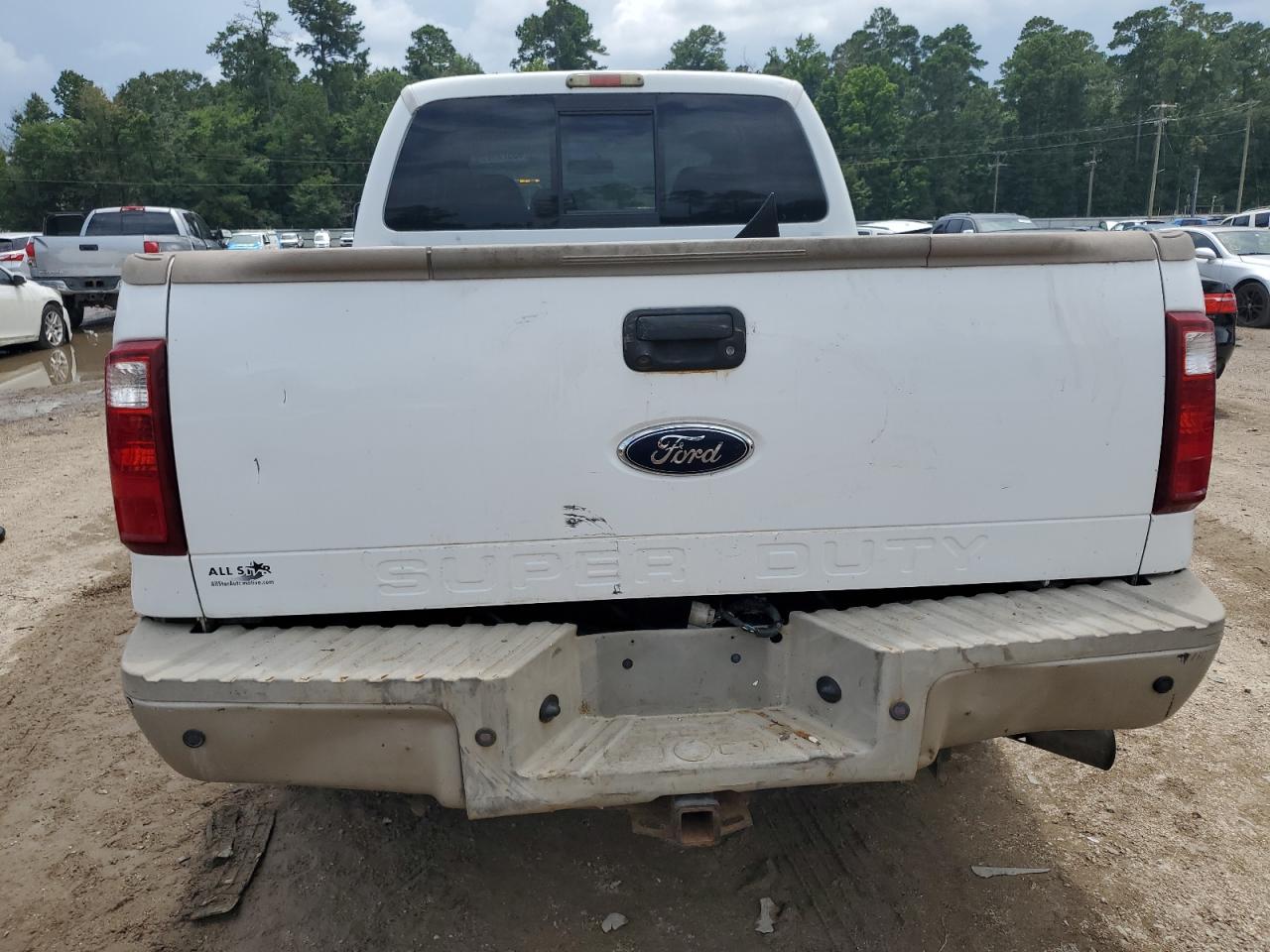 2008 Ford F250 Super Duty VIN: 1FTSW21R38EC68300 Lot: 65573985