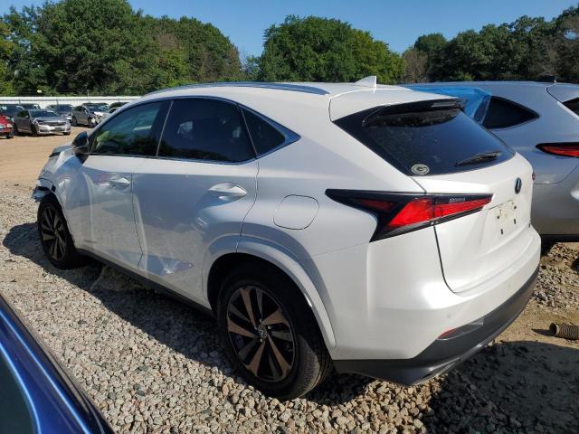  LEXUS NX 2020 Biały