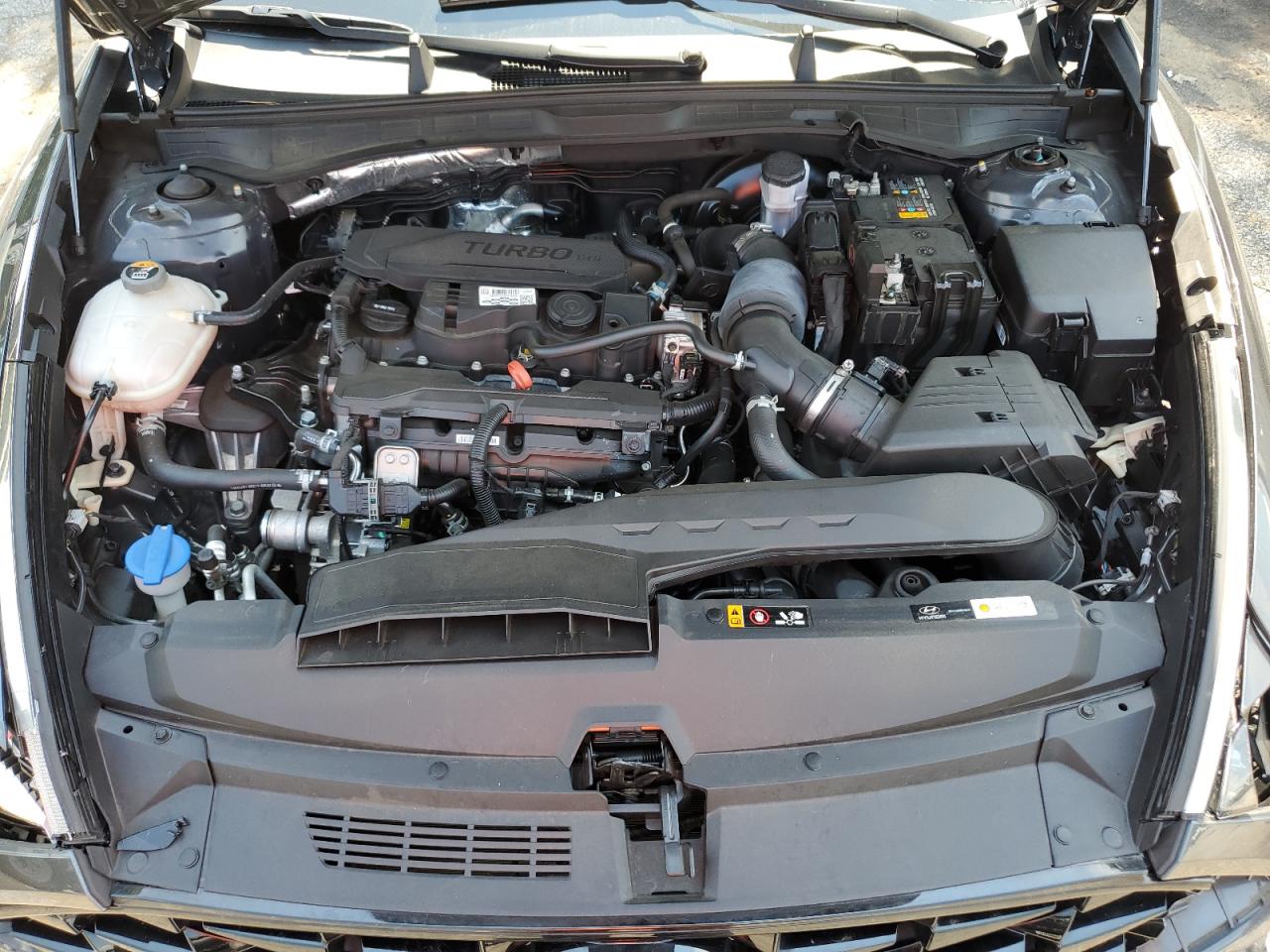 2022 Hyundai Sonata Limited VIN: KMHL34J25NA210554 Lot: 63735085
