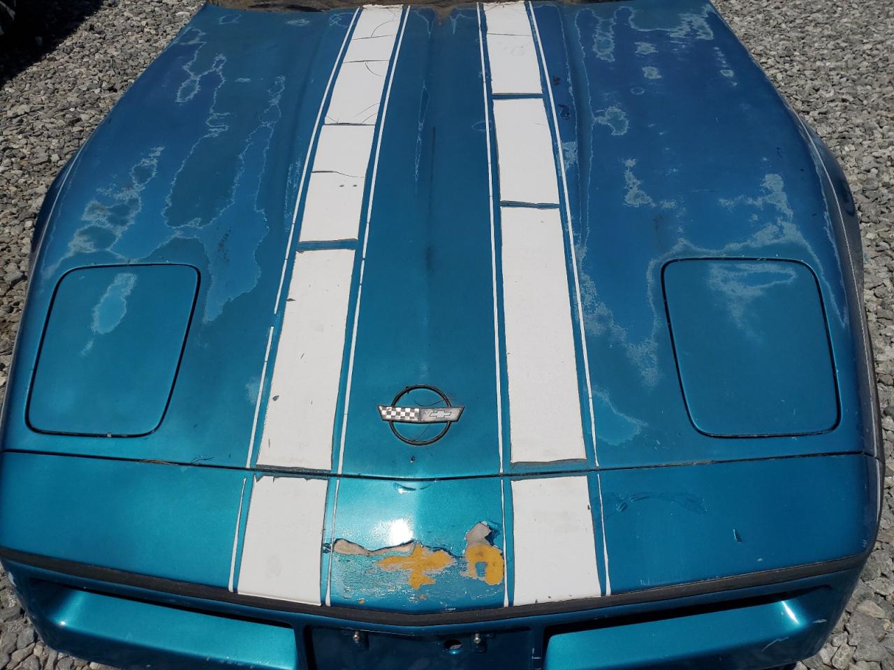 1987 Chevrolet Corvette VIN: 1G1YY2182H5128369 Lot: 65570465