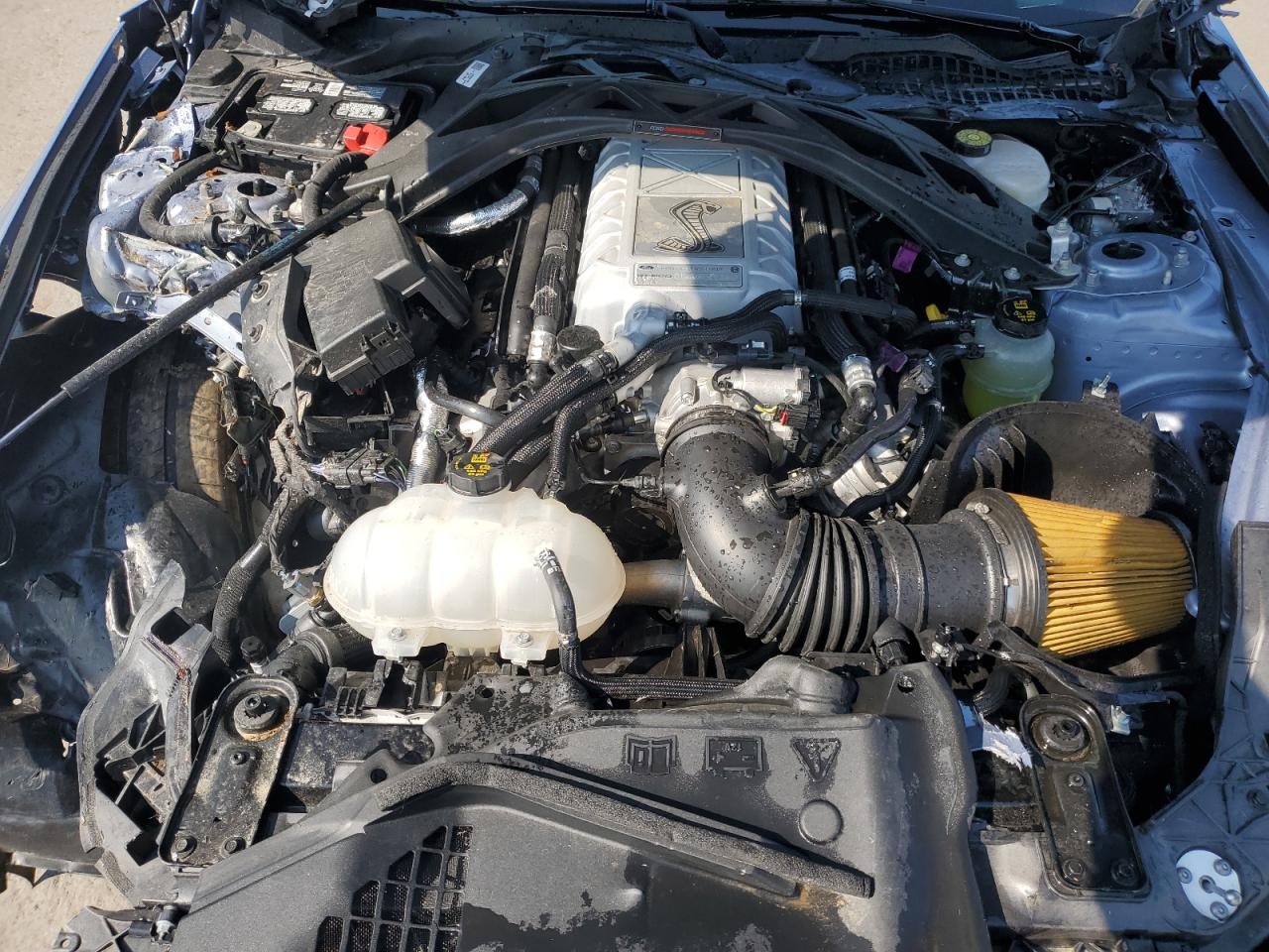 2022 Ford Mustang Shelby Gt500 VIN: 1FA6P8SJ1N5502106 Lot: 65684925