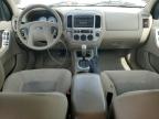 2005 FORD ESCAPE XLT   for sale at Copart AB - EDMONTON
