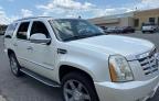 2007 CADILLAC ESCALADE LUXURY   à vendre chez Copart MA - SOUTH BOSTON