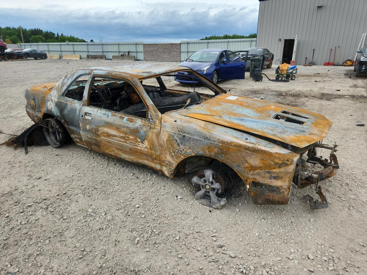 1987 Ford Thunderbird VIN: 1FABP64W7HH141124 Lot: 66017495