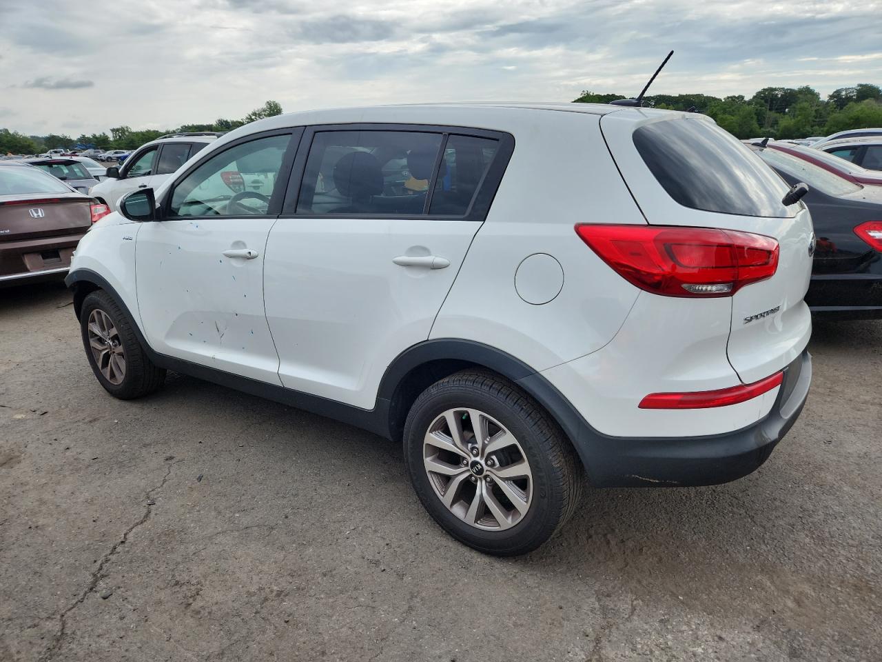 2014 Kia Sportage Lx VIN: KNDPBCAC7E7552399 Lot: 65126635