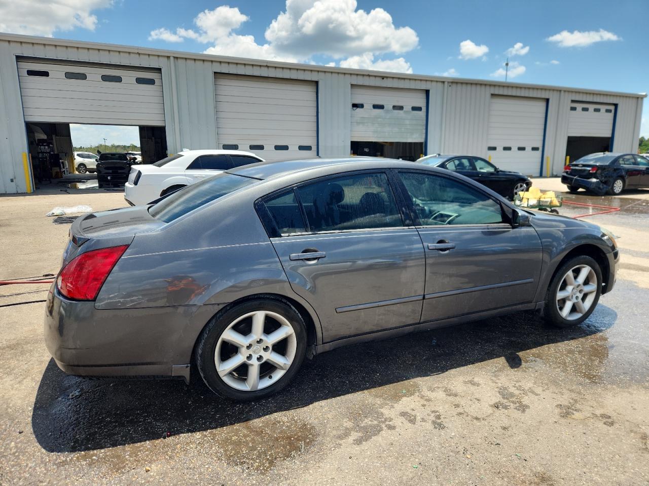 2006 Nissan Maxima Se VIN: 1N4BA41E16C849753 Lot: 64786865