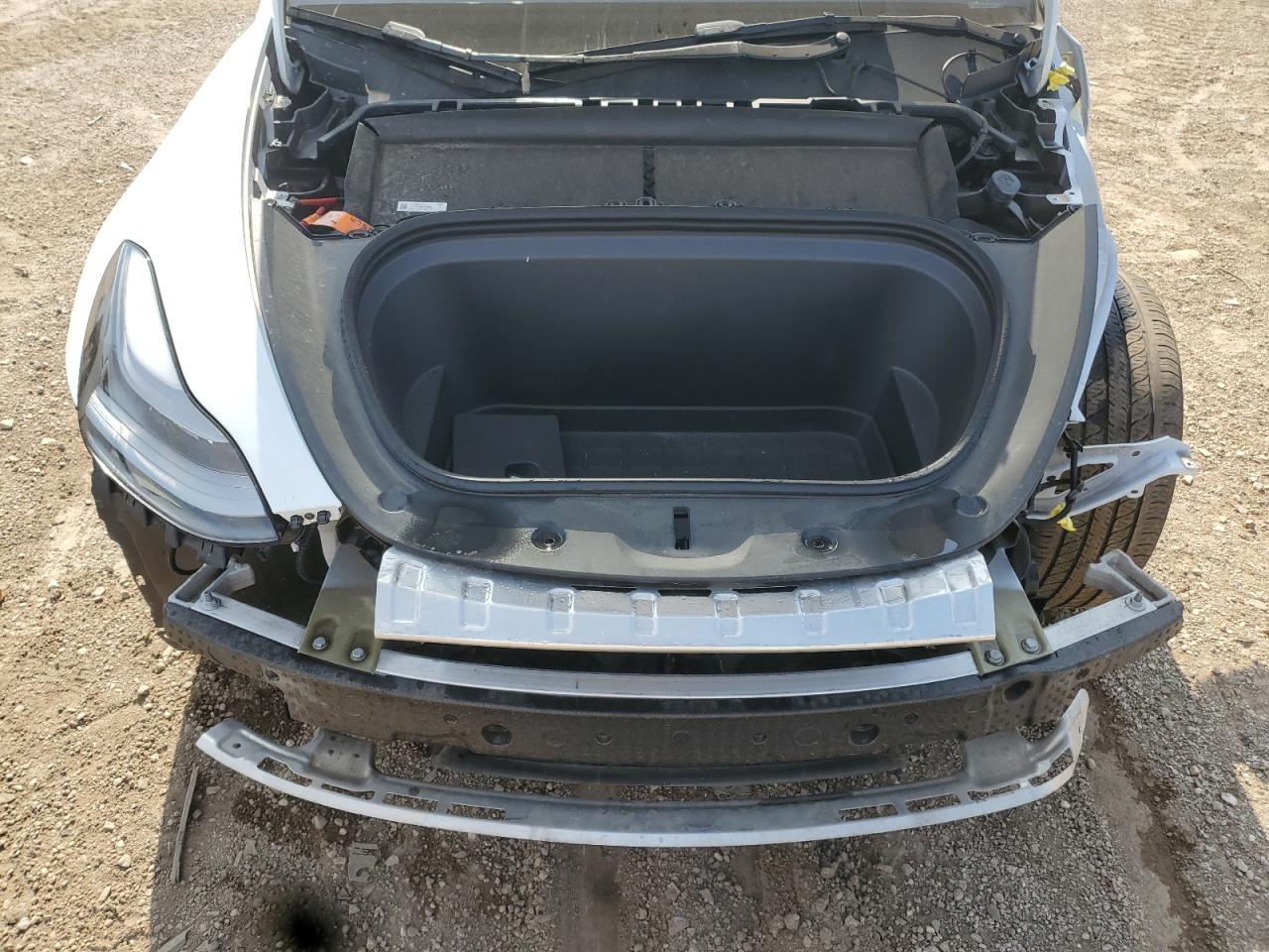 2023 Tesla Model Y VIN: 7SAYGDEE4PF764166 Lot: 64412875