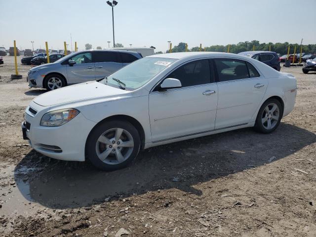 Sedans CHEVROLET MALIBU 2012 Biały