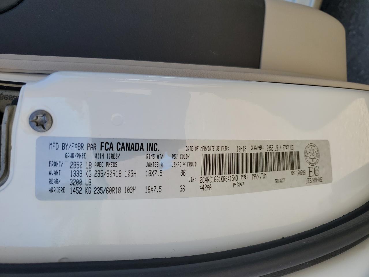 2019 Chrysler Pacifica Limited VIN: 2C4RC1GG1KR541543 Lot: 65069785