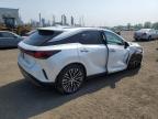 2023 LEXUS RX 350H BASE   for sale at Copart QC - MONTREAL